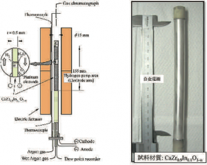 (左）水素同位体ガス回収装置 (右）プロトン伝導性酸化物試料